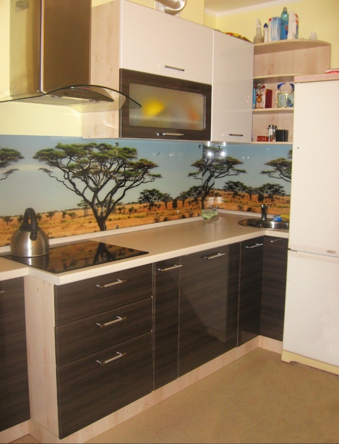 Кухонный гарнитур со стеновой панелью из стекла с фотопечатью.